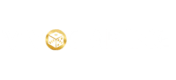 Vivo Gaming