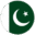 Pakistan flag icon