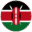 Kenya flag icon