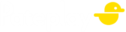 pateplay logo
